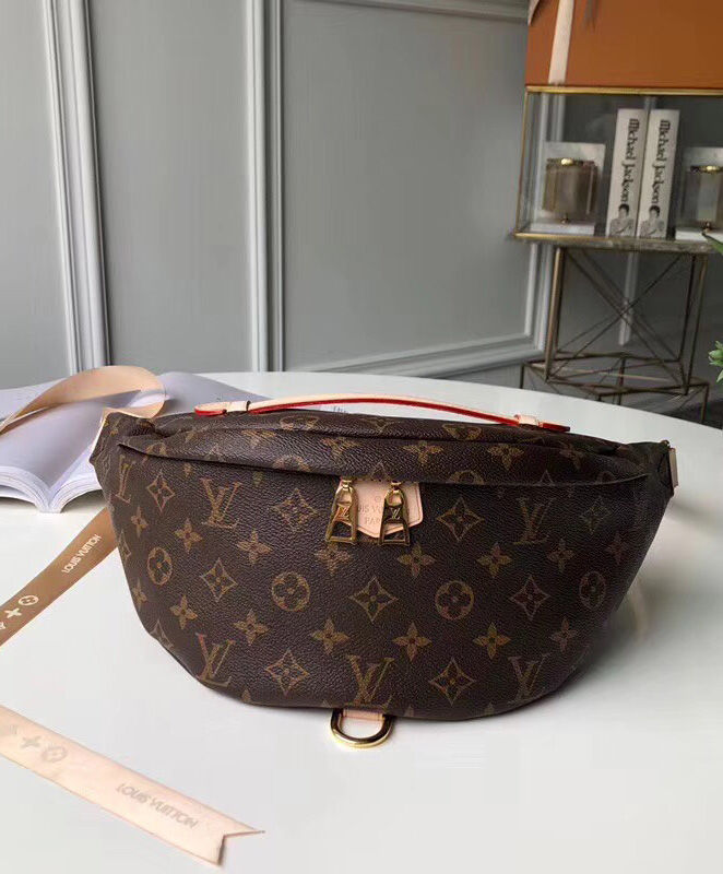 Louis Vuitton Bumbag M43644 Brown