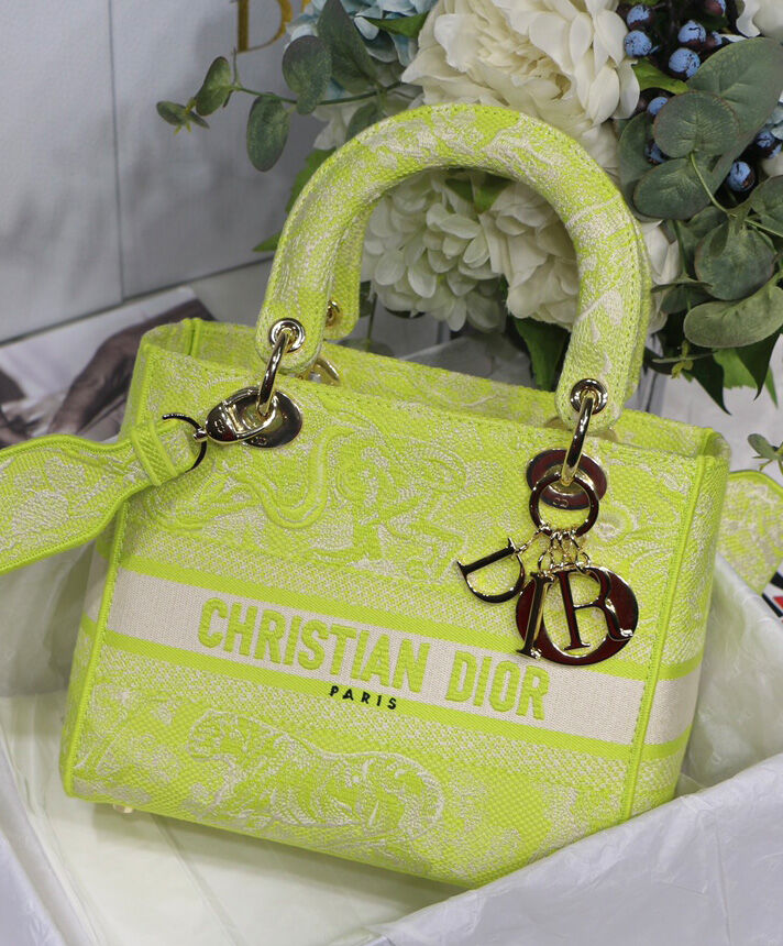 Christian Dior Medium Lady D-Lite Bag Green