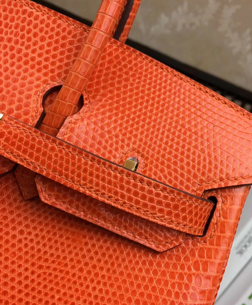Hermes Birkin 25 Lizard leather Orange