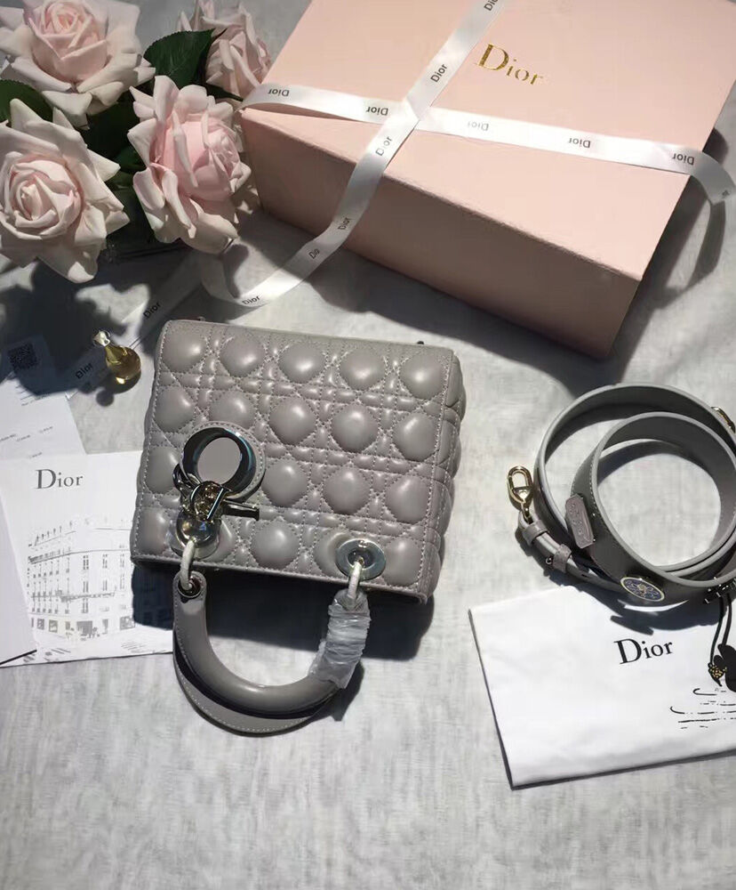 Christian Dior Lady Dior Bag 2017 Gray