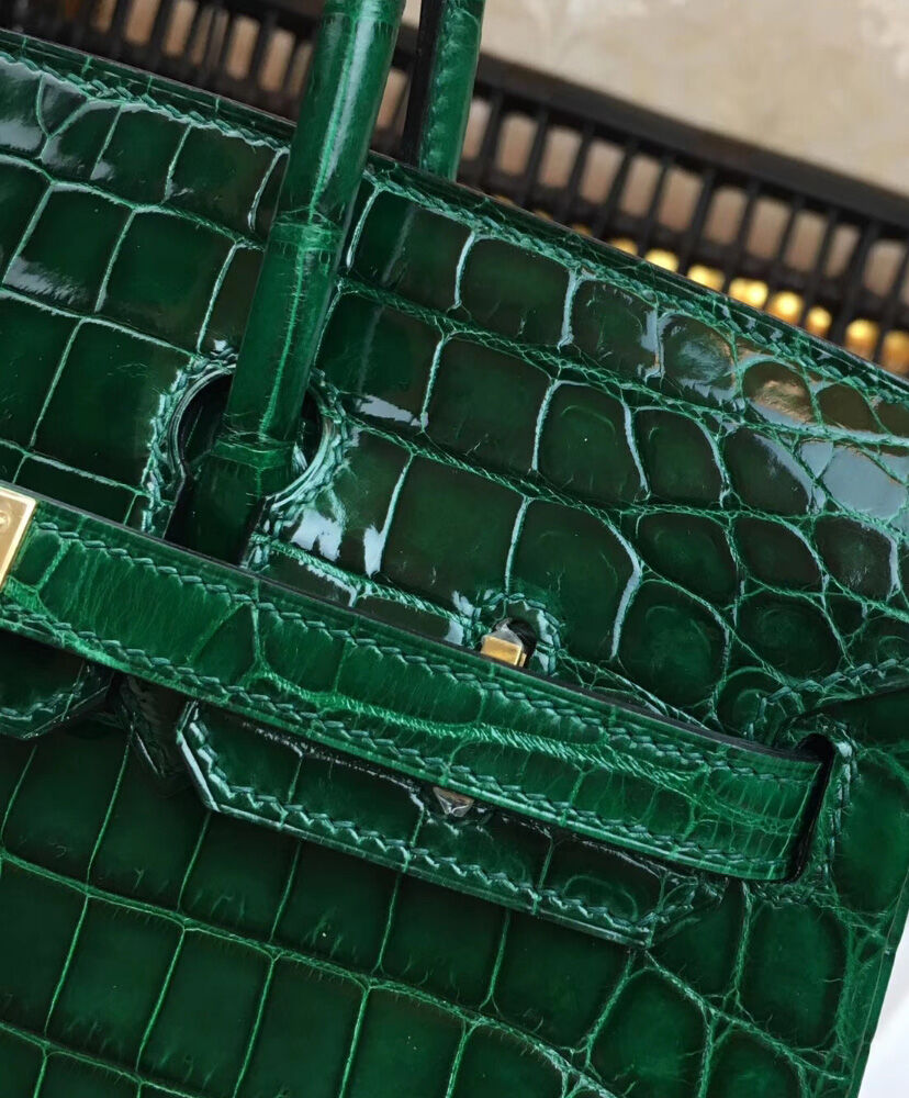 Hermes Birkin 25 Crocodile leather Green