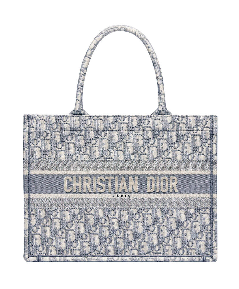 Christian Dior Small Book Tote With Dior Oblique Embroidery Gray