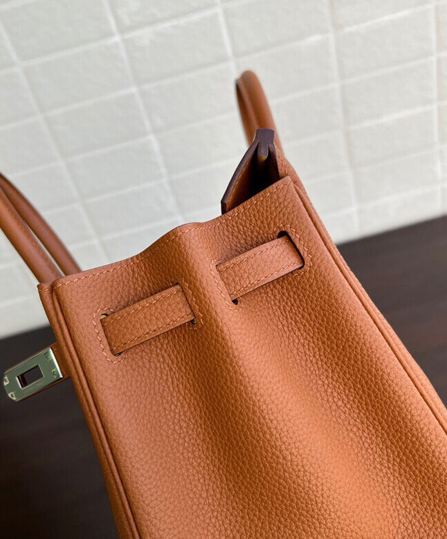 Hermes Birkin 25 Officier Togo Handbag Coffee