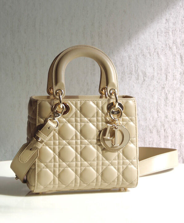 Christian Dior Lady Dior My Abcdior Bag Apricot