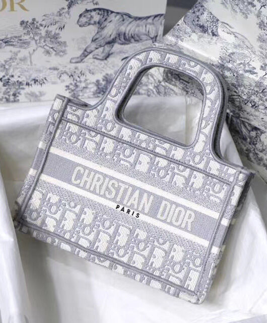 Christian Dior Mini Book Tote Original Dior Oblique Embroidered Canvas Bag Gray