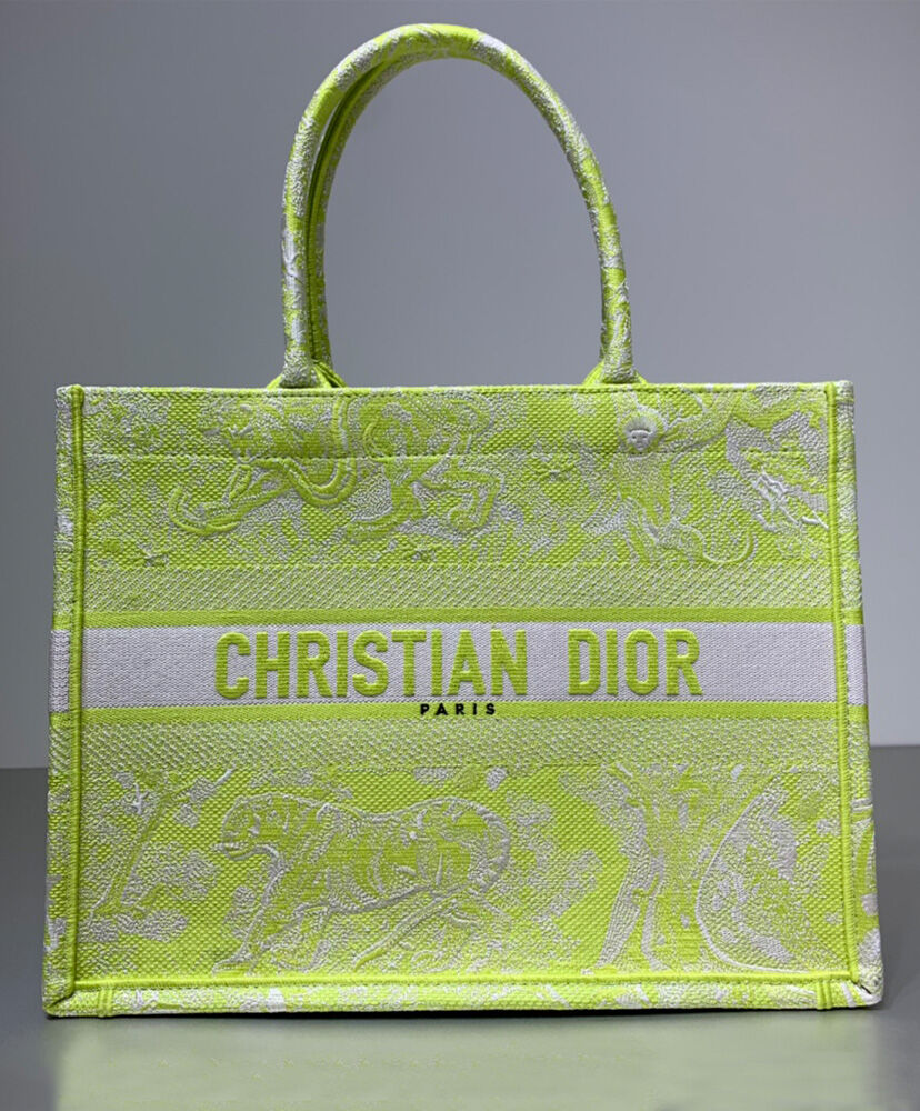 Christian Dior Small Dior Book Tote Green