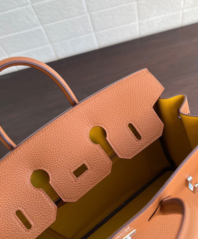 Hermes Birkin 25 Officier Togo Handbag Coffee