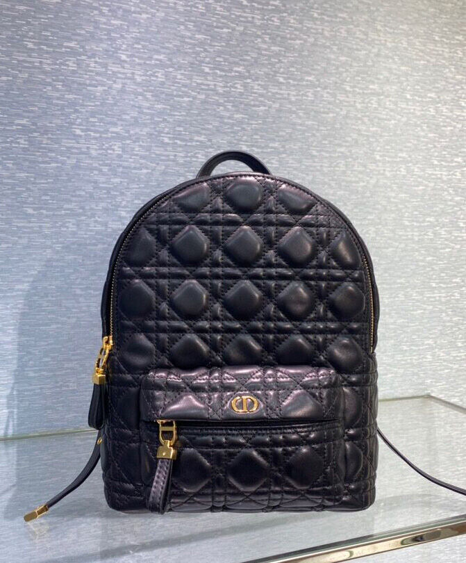 Christian Dior Small Dior Backpack Black