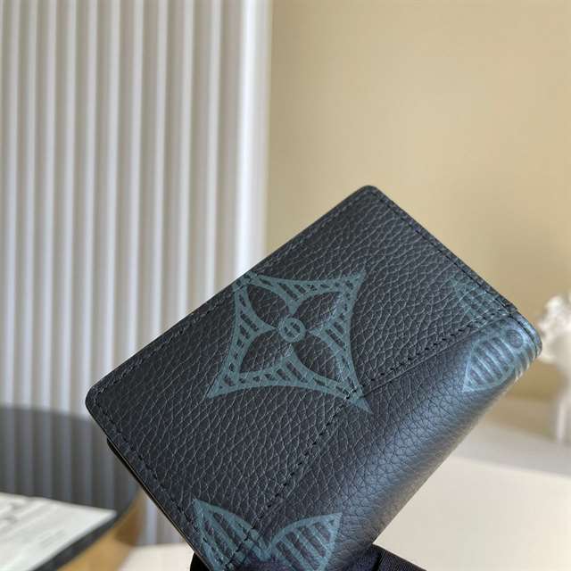 Louis Vuitton Pocket Organizer Taurillon Shadow Leather M80038   RRG025