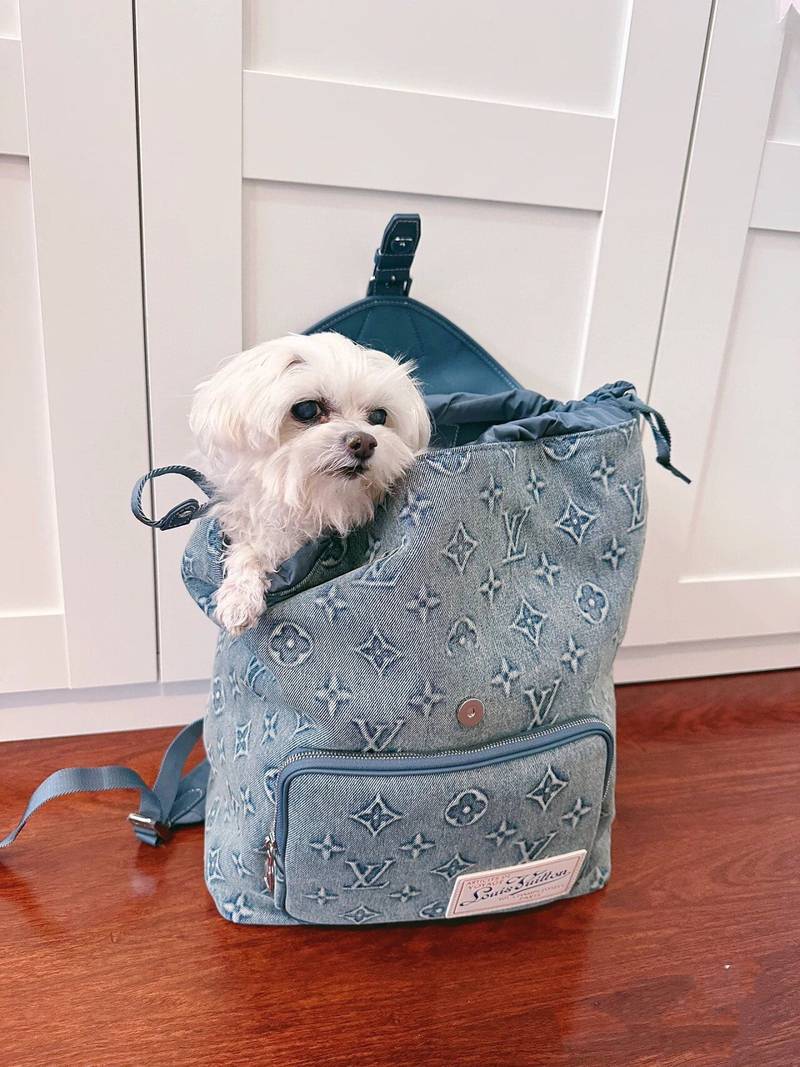 LV Montsouris Backpack