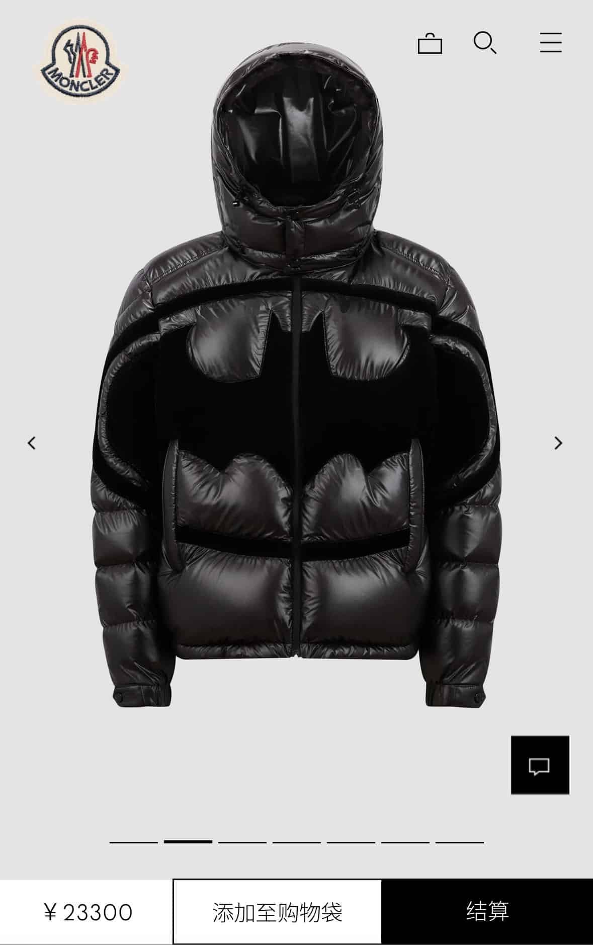 Down Jacket