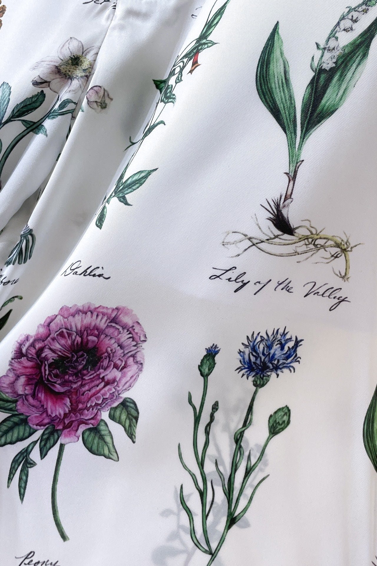 Dior Herbarium Illustration Bermuda Shorts