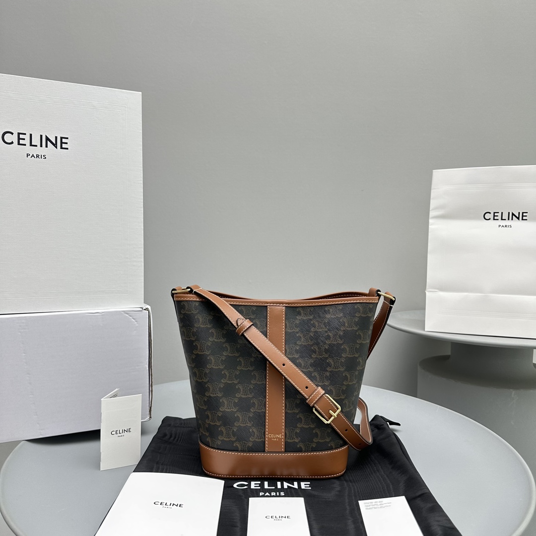 Celine Luxury Bag