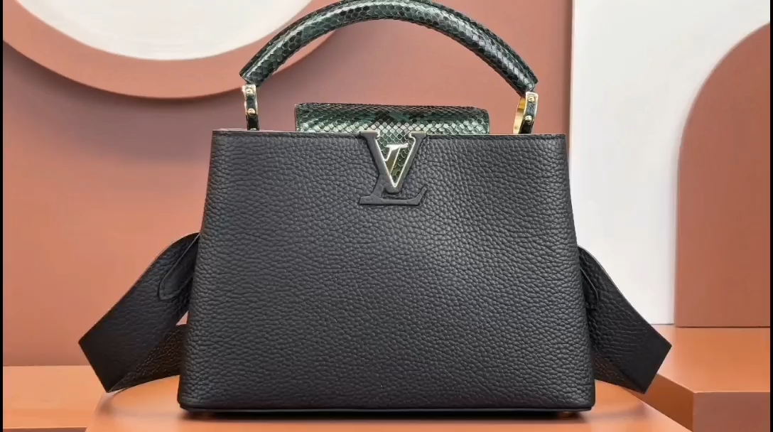 Louis Vuitton Capucines  handbag-small