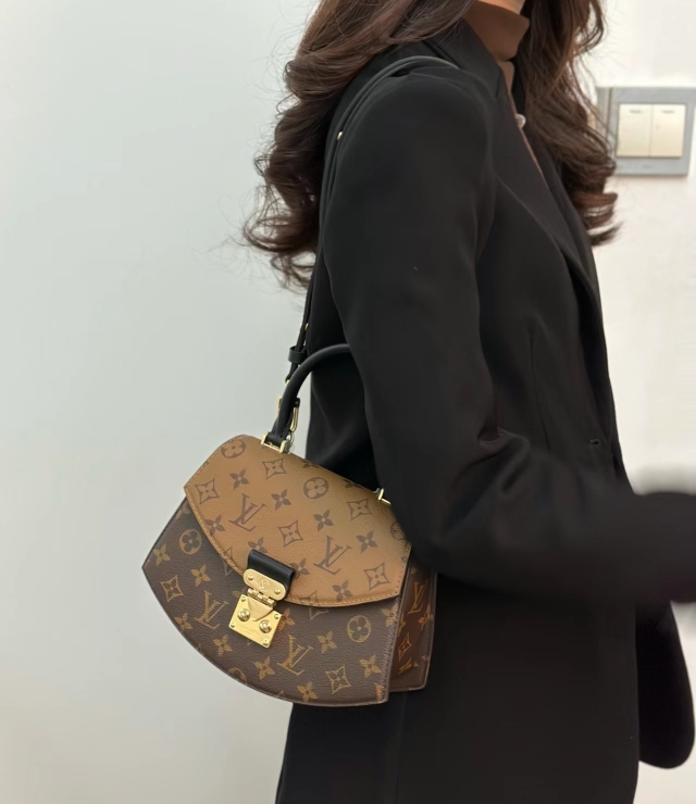 Louis Vuitton Tilsitt Handbag