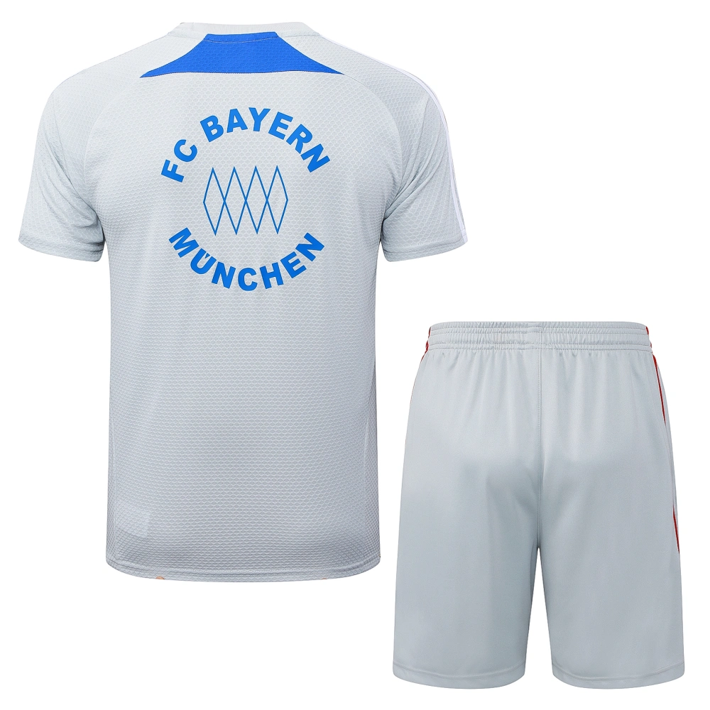 Bayern Munich Training Jersey Kit Gray 2025/26