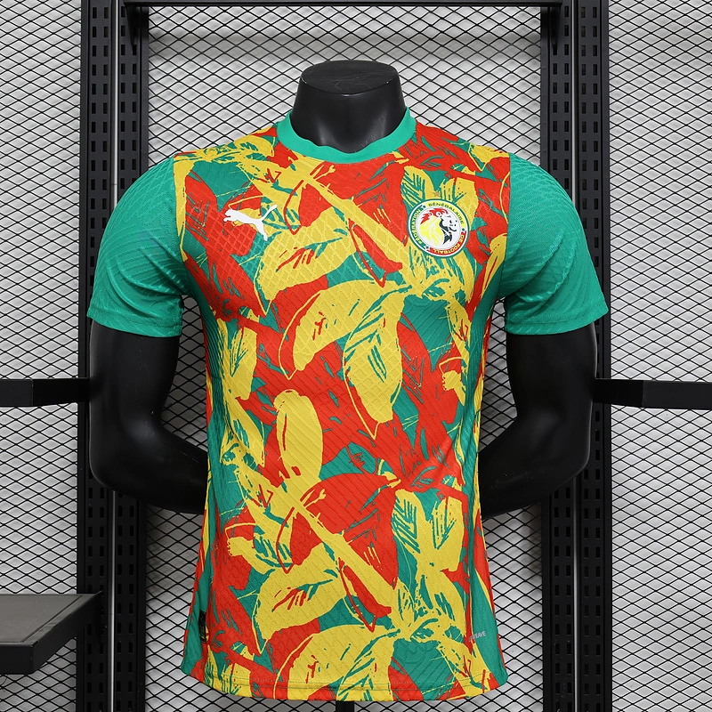 Ivory Coast Authentic Soccer Jersey Pre-Match Shirt 2024
