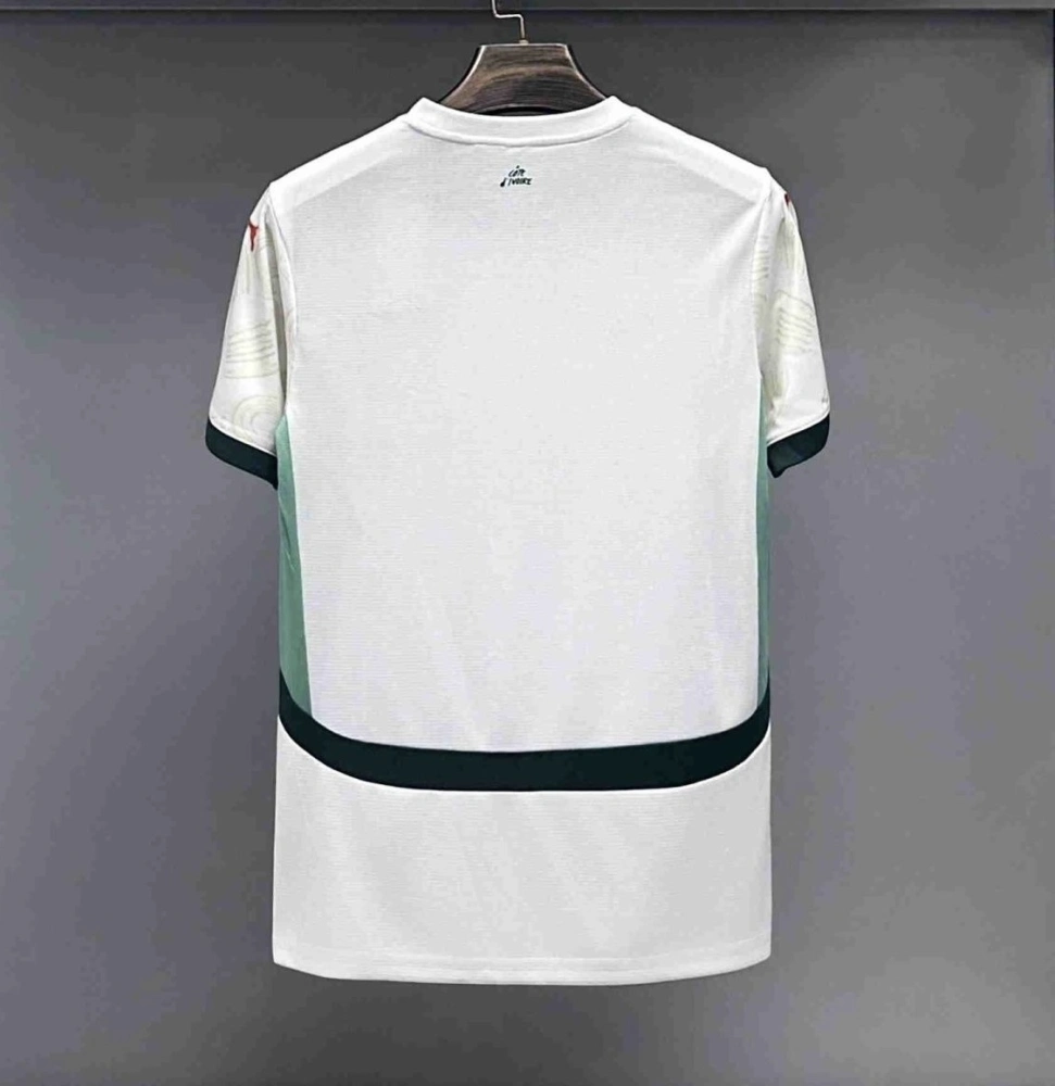 Ivory Coast Soccer Jersey Away Custom Shirt World Cup 2024-25