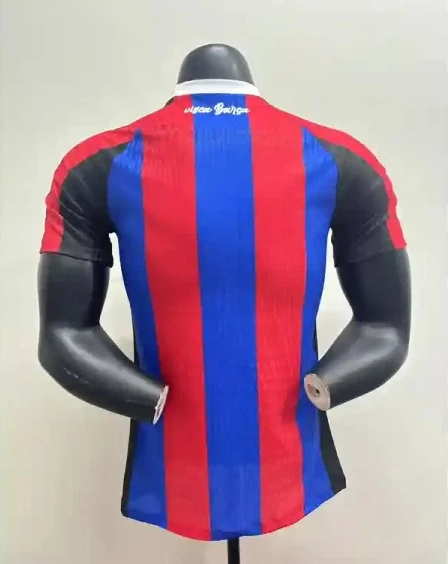 Authentic Soccer Jersey Barcelona Special Edition Shirt 2025/26