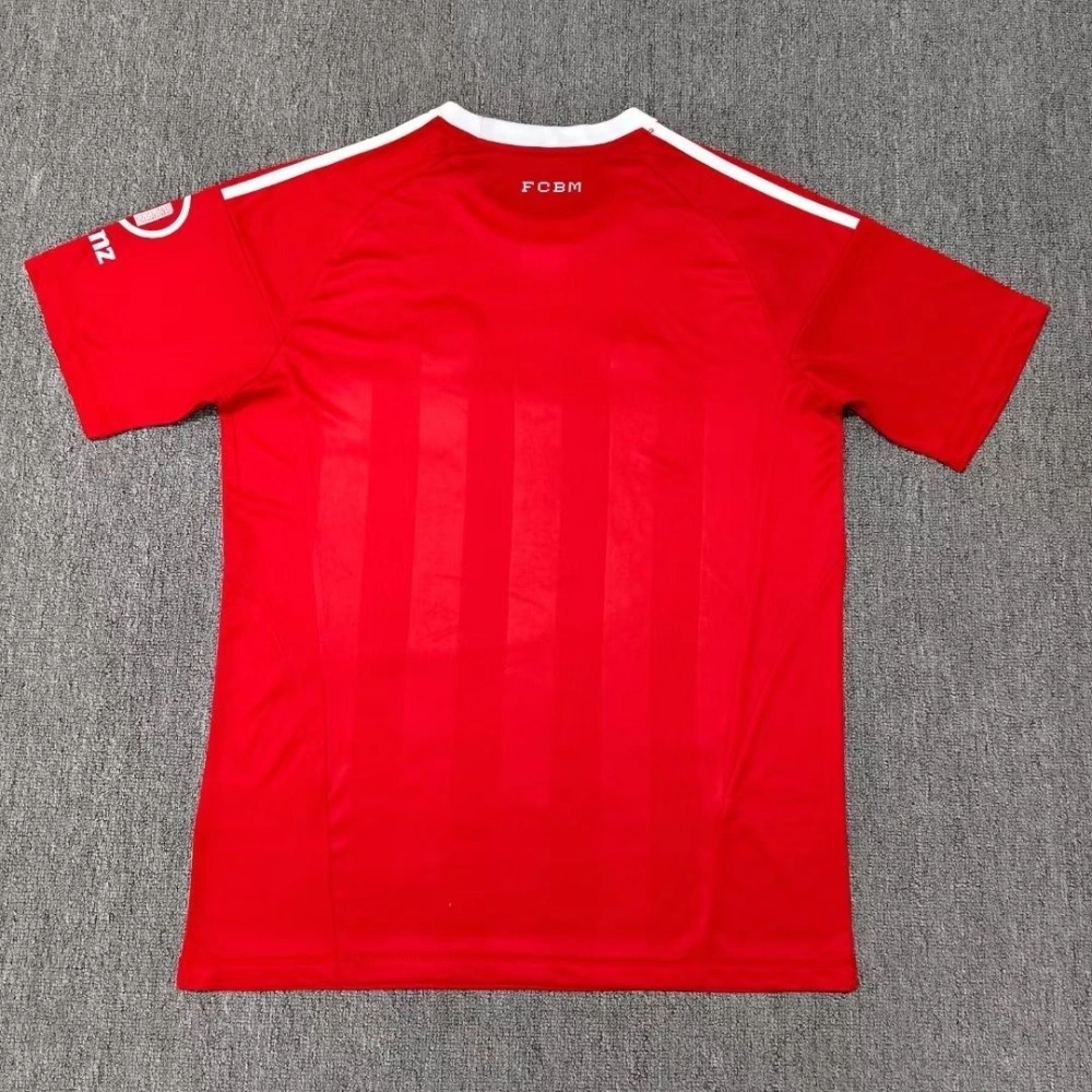 Bayern Munich Soccer Jersey Goalkeeper Torwart UCL Shirt 2025/26