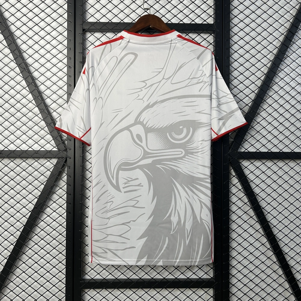 Benfica Soccer Jersey Special Edition Custom Shirt 2025/26