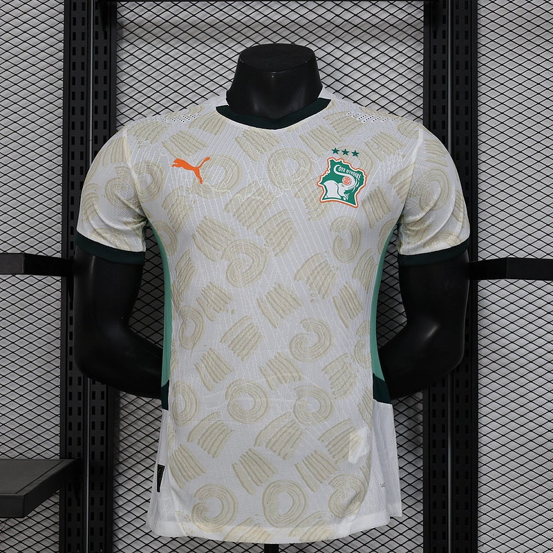 Ivory Coast Authentic Soccer Jersey Away Shirt 2024-25