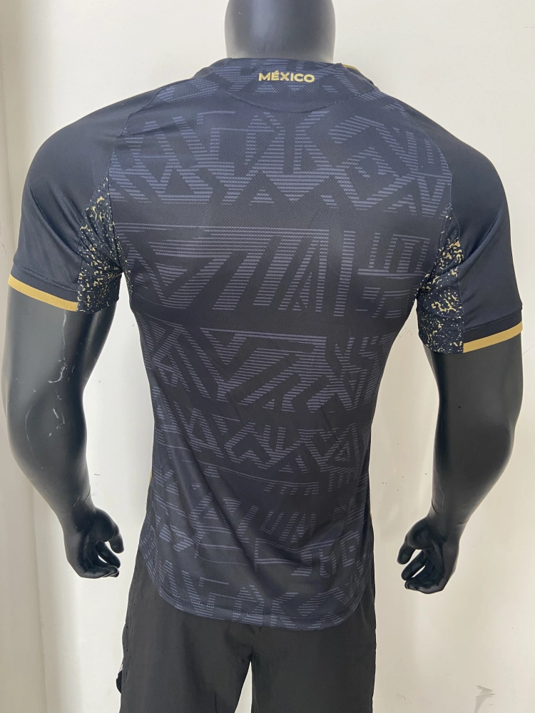 Mexico Authentic Special Soccer Jersey 2025