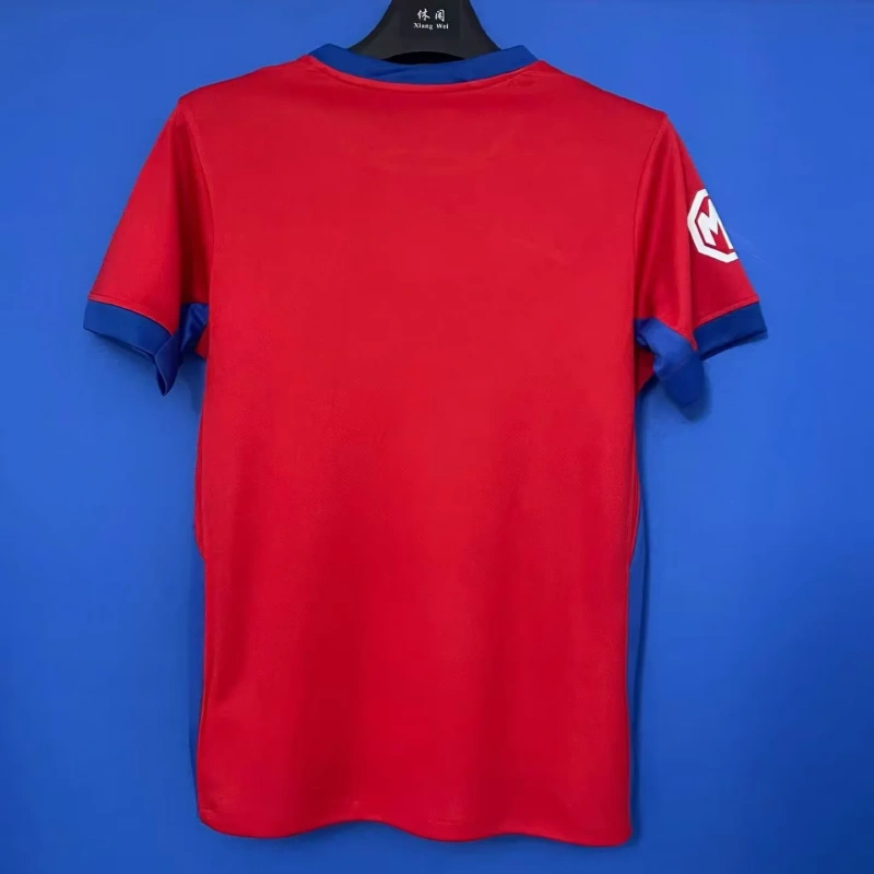 FCSB Soccer Jersey Home Custom Shirt 2025-26