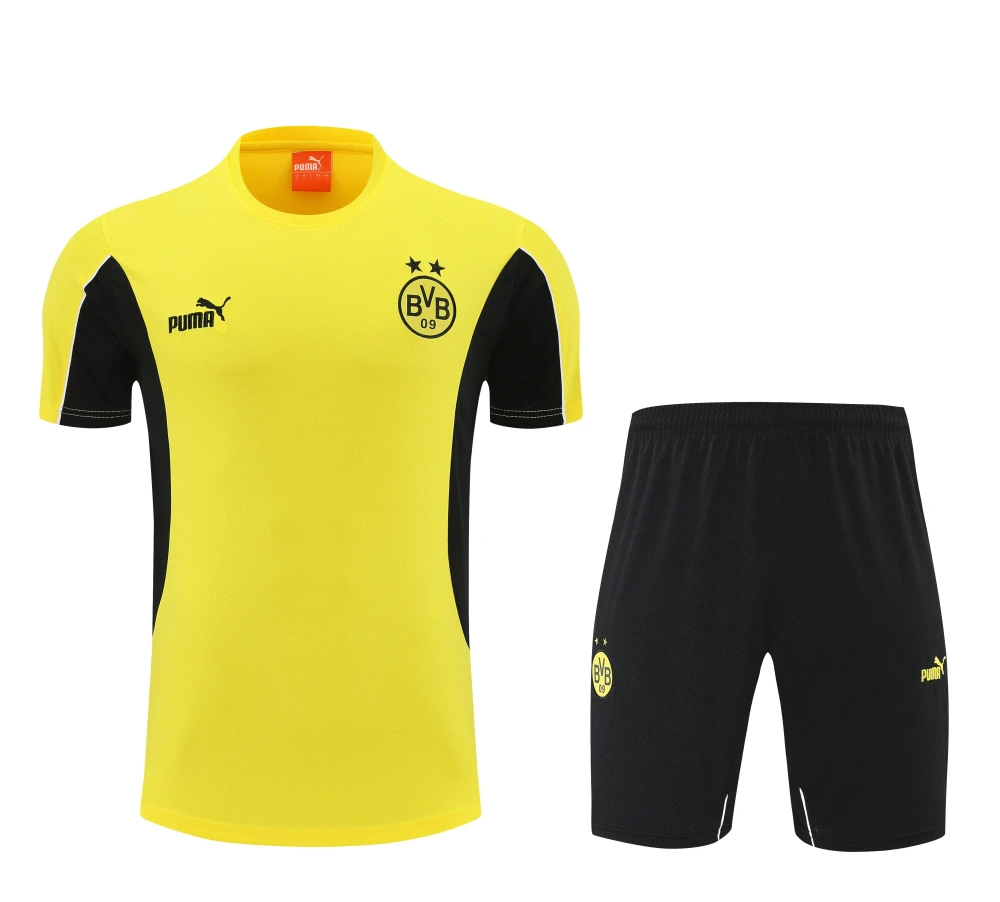 Borussia Dortmund Training Jersey Kit Yellow 2025/26