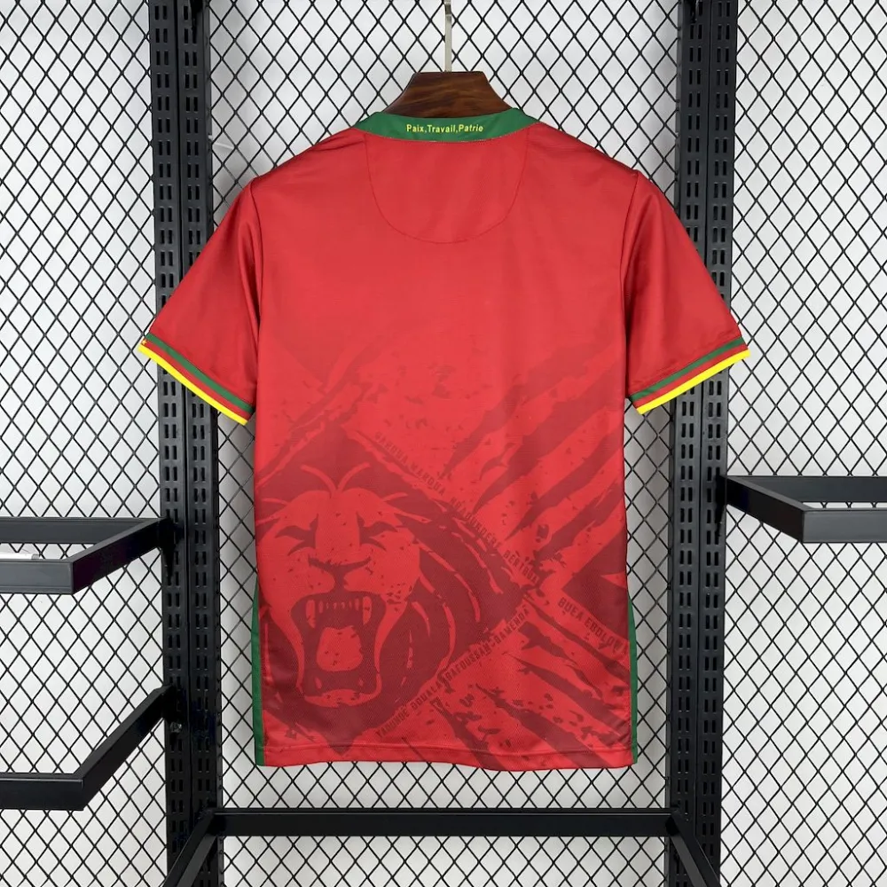 Cameroon Soccer Jersey Away Custom Shirt 2025