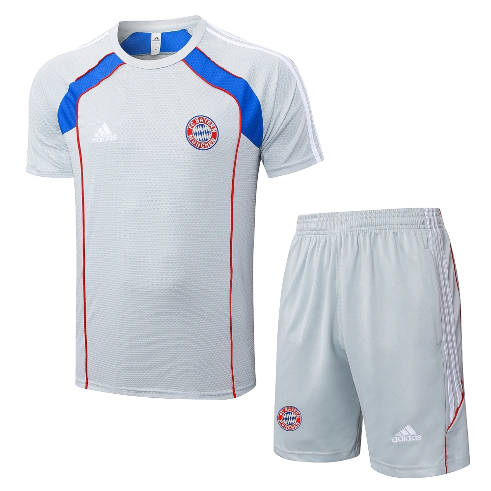 Bayern Munich Training Jersey Kit Gray 2025/26