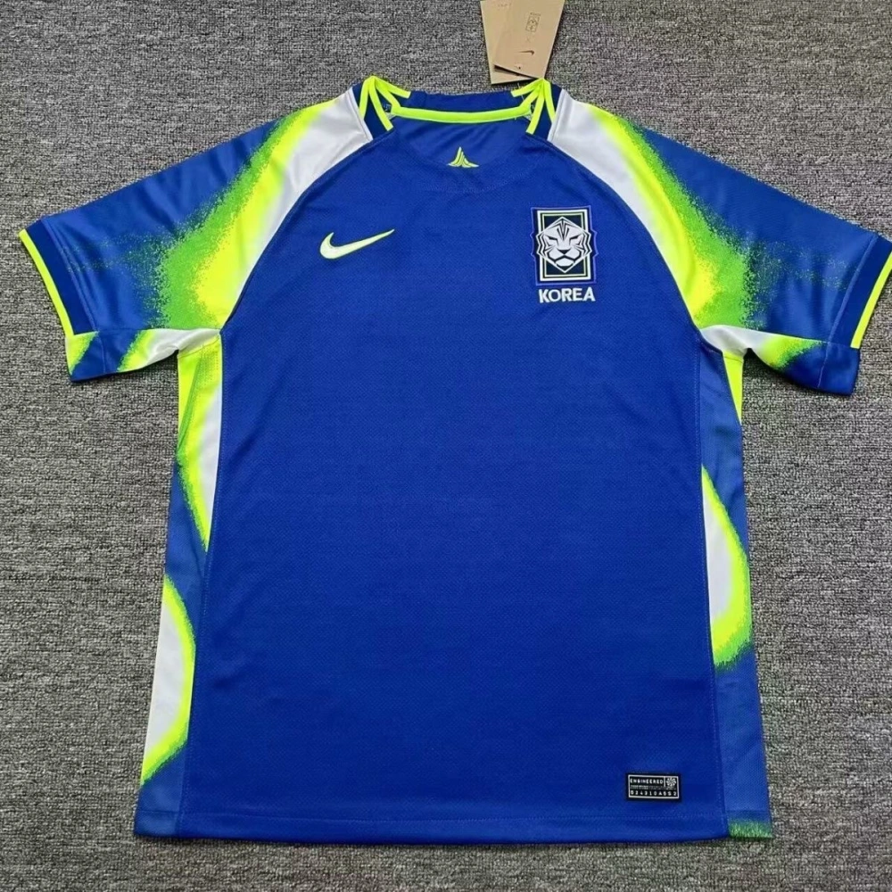 South Korea Soccer Jersey Away Custom Shirt 2025