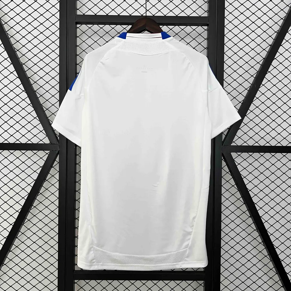 Olympique Lyonnais Retro Football Jersey Home Custom Shirt 2010-11