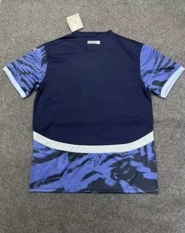 Paraguay Soccer Jersey Away Custom Shirt 2024