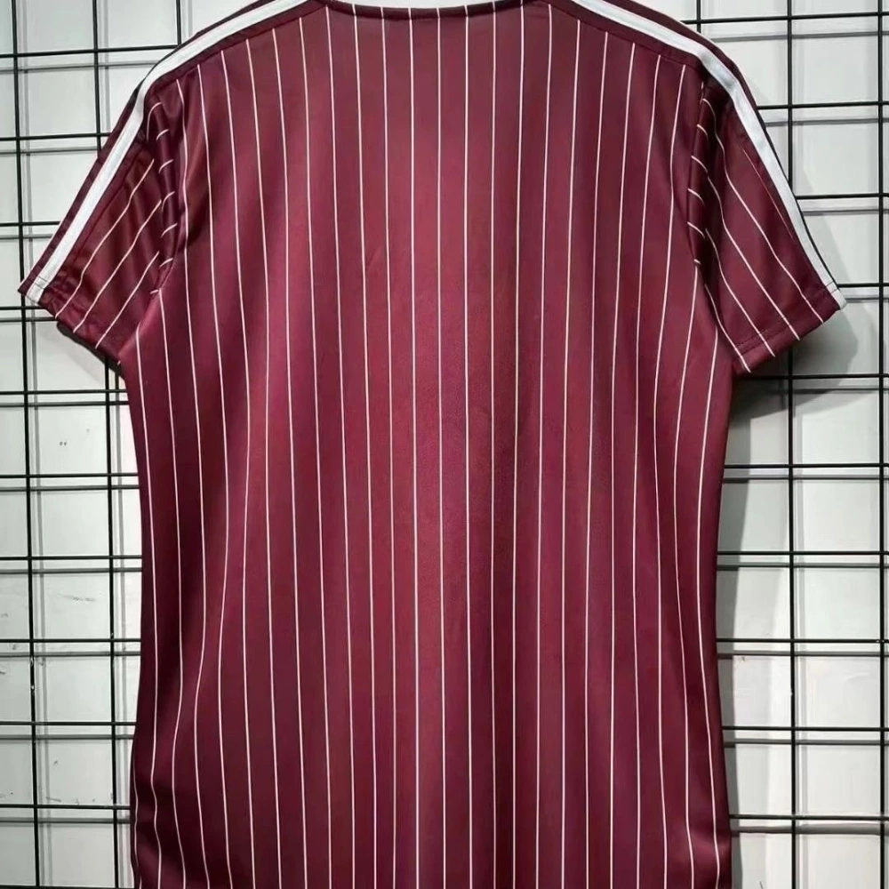 Ajax Football Jersey Terrace Icons Special Edition Custom Shirt 2025/26