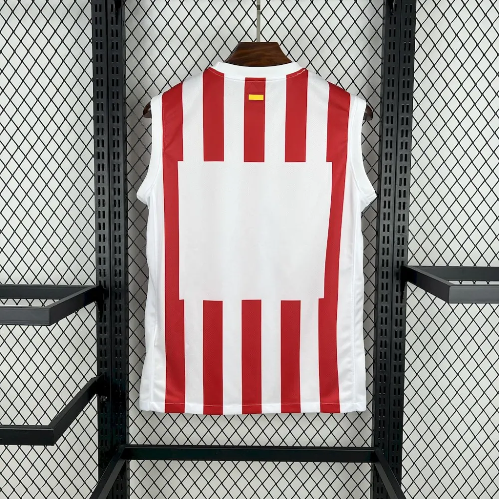Atletico Madrid Soccer Jersey Home Custom Vest 2025/26