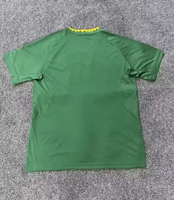 South Africa Soccer Jersey Home Custom Shirt World Cup 2025-26