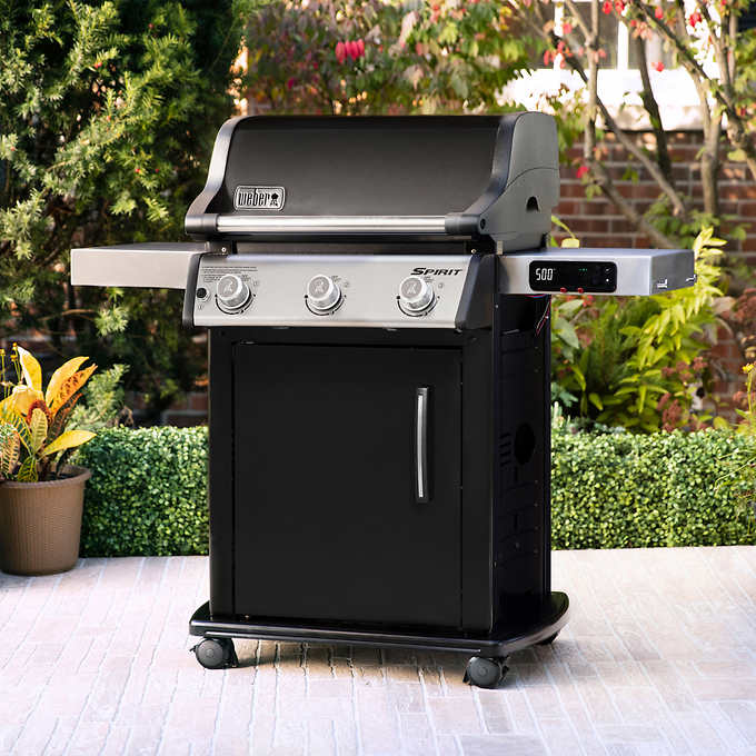 Spirit EX-315 Grill