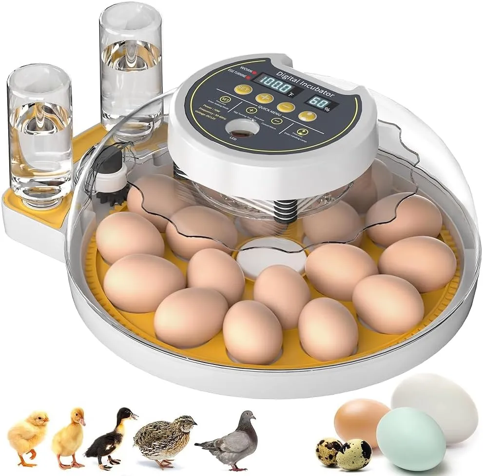 😍Last day buy 1 get 2 free😍 Multi-functional incubator —Auto Egg Turning🥚