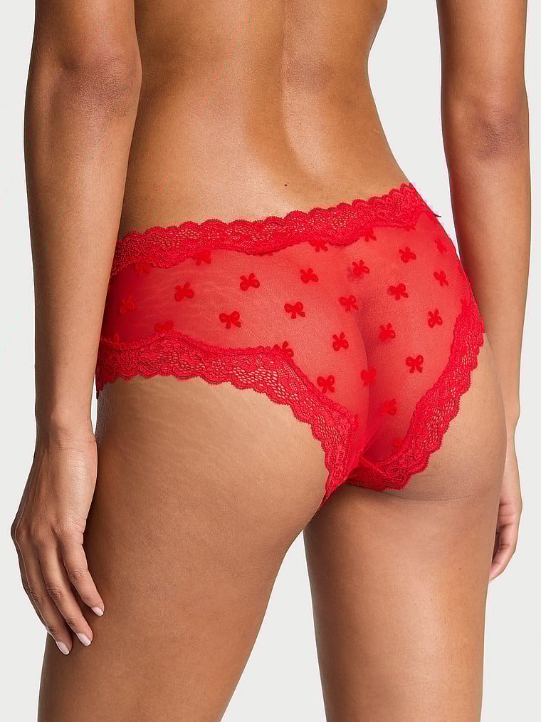 Victoria's Secret Tease Mesh Lace-Trim Cheeky Panty Mesh