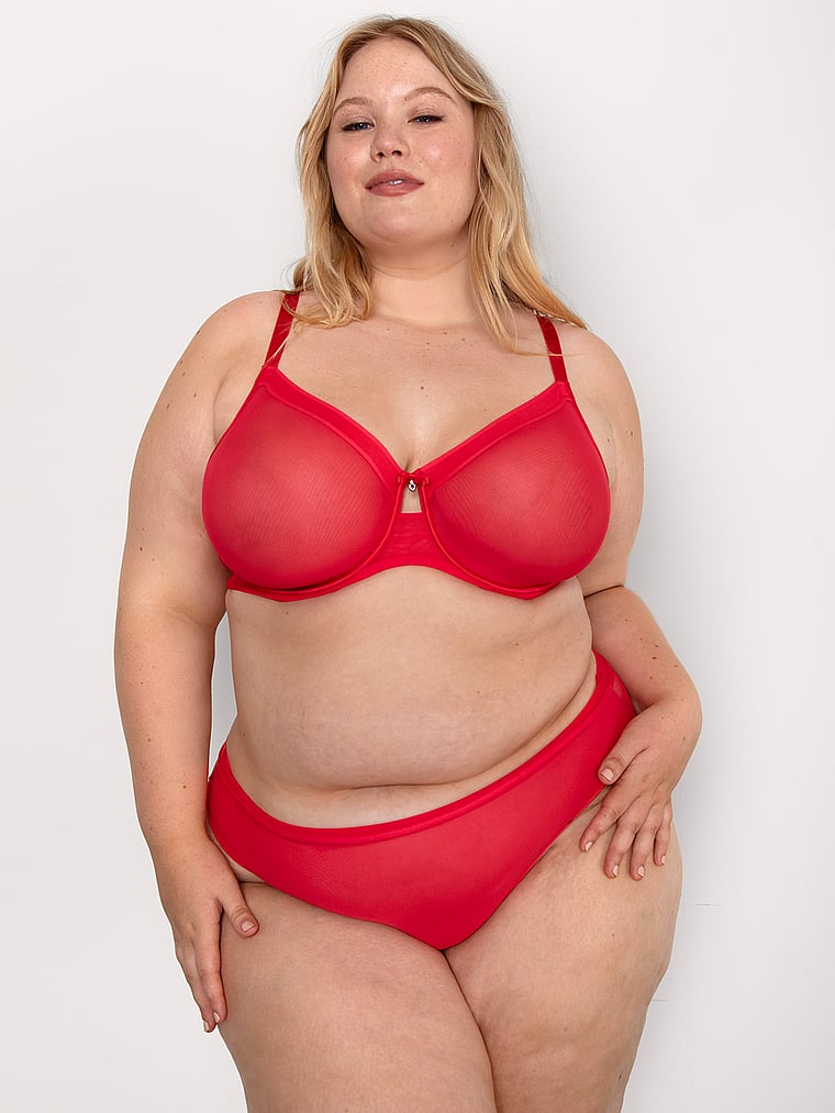 Curvy Couture Sheer Mesh High Leg Brief Panty