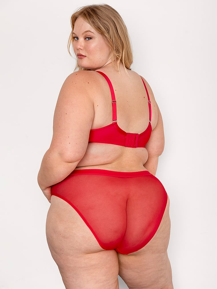 Curvy Couture Sheer Mesh High Leg Brief Panty