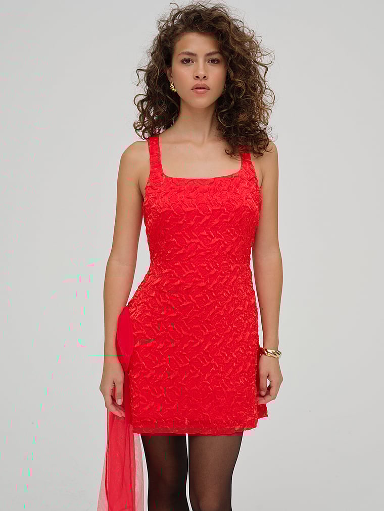 For Love & Lemons Frosted Organza Mini Dress