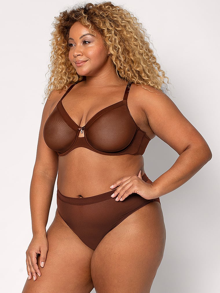 Curvy Couture Sheer Mesh High Leg Brief Panty