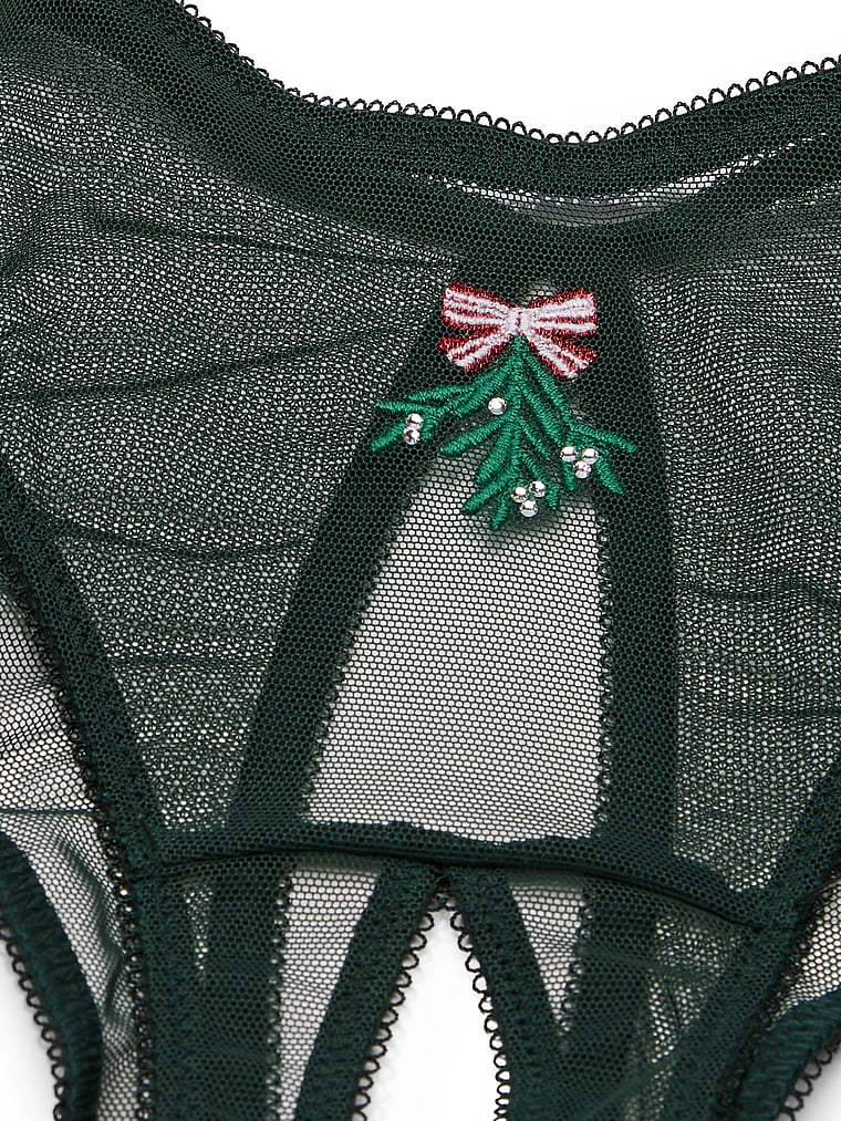 Very Sexy Mesh High-Leg Crotchless Panty Mesh