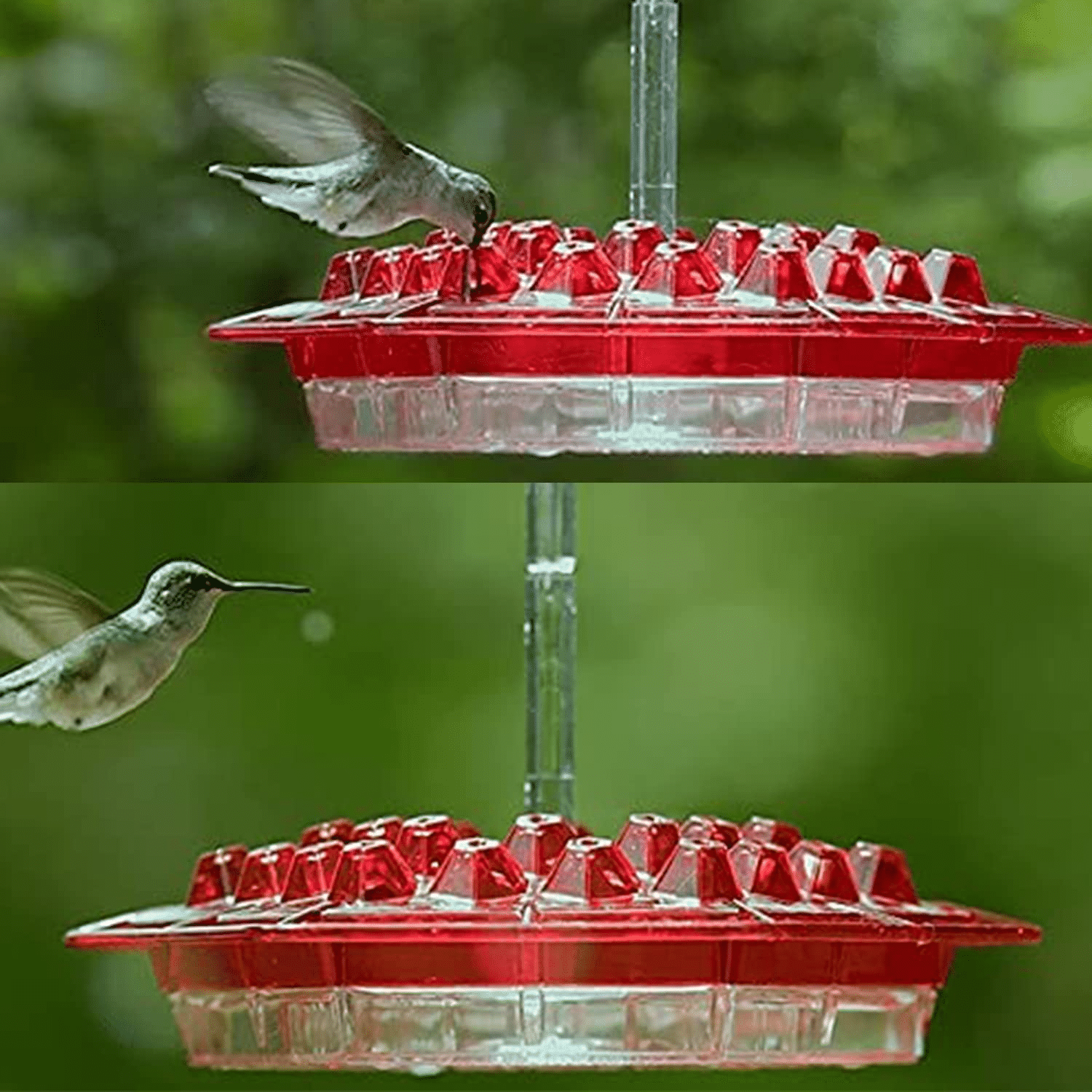 COMEDERO MARY'S HUMMINGBIRD CON PERCHA