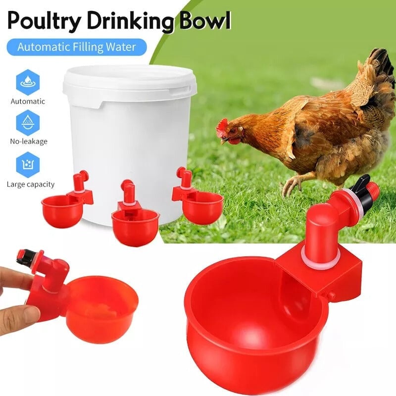 Automatic Chicken Water Cup🐔Spring Hot Sale- 45%OFF🐔