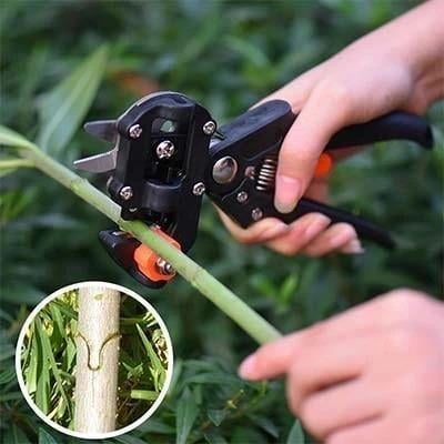 Herramienta de corte de injerto profesional de jardín