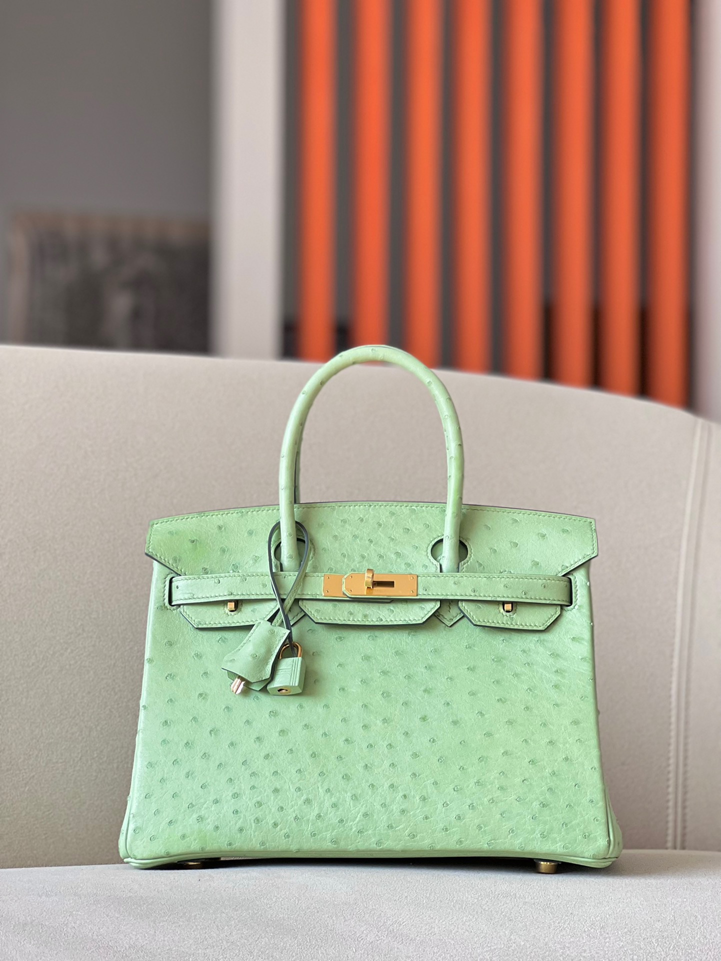 Advanced customization Birkin 25-30 Ostrich skin