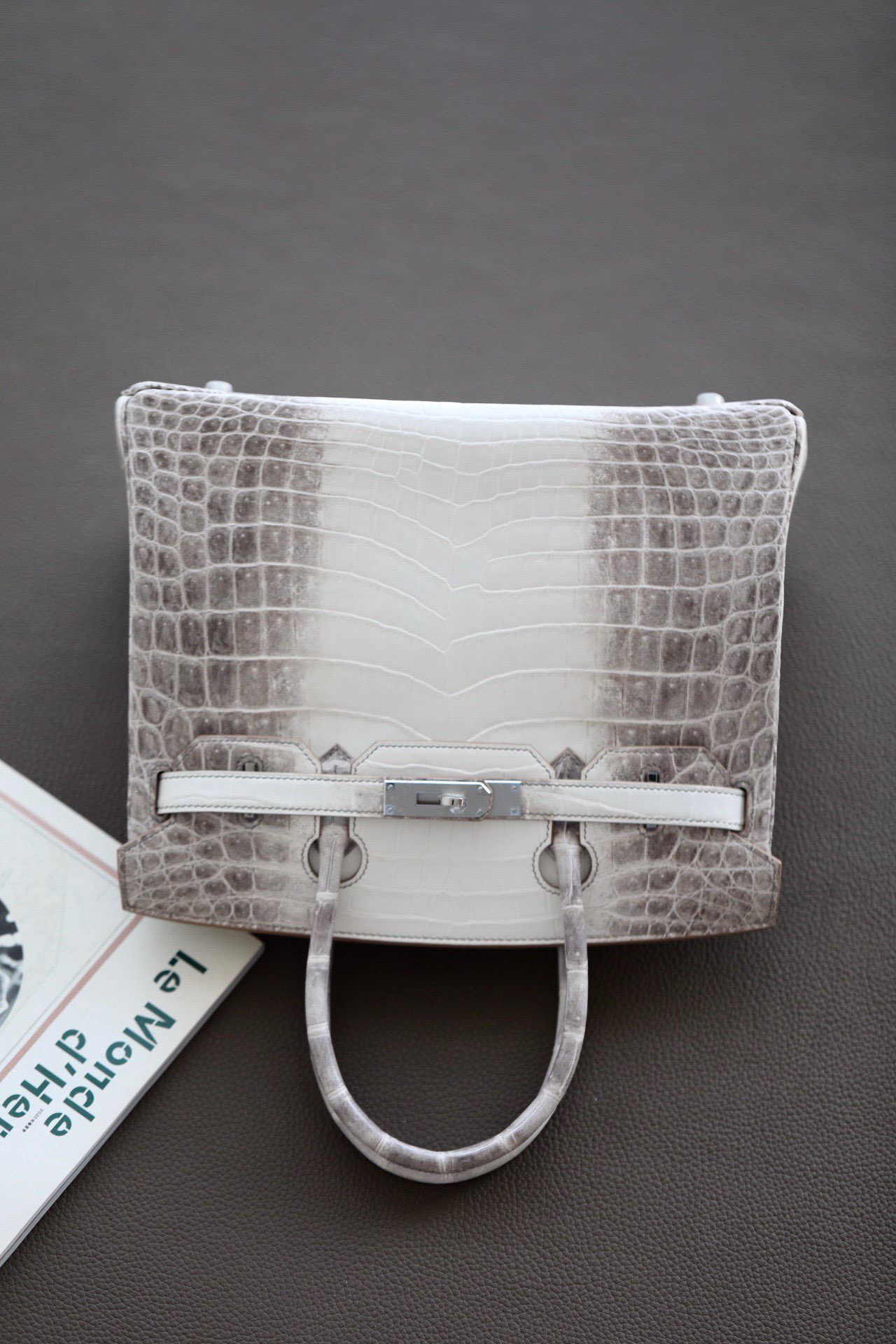 Birkin Himalayan  25 crocodile skin